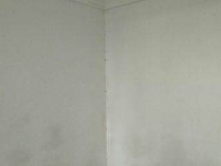 墙、顶面腻子批嵌