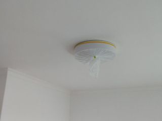 墙、顶面乳胶漆