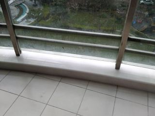 竣工验收