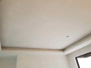 墙、顶面乳胶漆