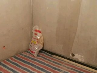 墙、顶面腻子批嵌