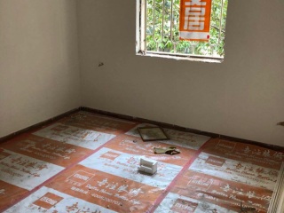 墙、顶面腻子批嵌