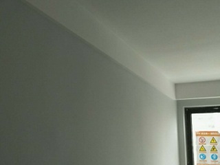 墙、顶面乳胶漆