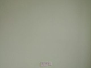 墙、顶面乳胶漆