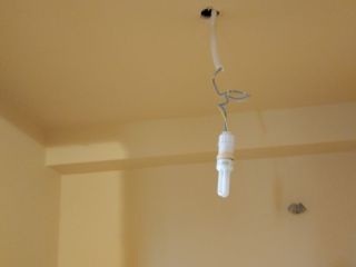 墙、顶面乳胶漆
