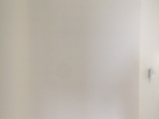墙、顶面腻子批嵌