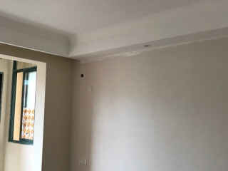 现场背景墙及隔墙施作