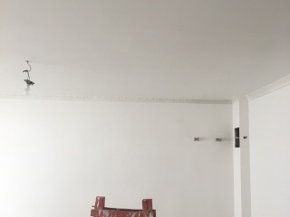 墙、顶面腻子批嵌