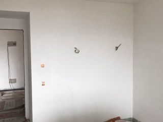 墙、顶面乳胶漆