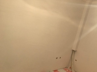 墙、顶面乳胶漆及墙纸铺贴