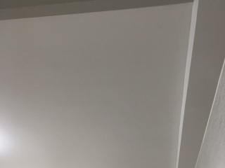 墙、顶面乳胶漆