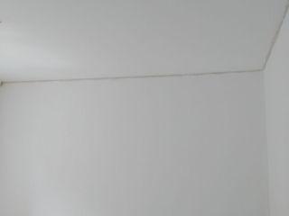 墙、顶面乳胶漆