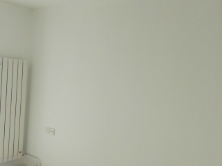 墙、顶面乳胶漆