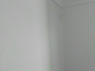 墙、顶面乳胶漆