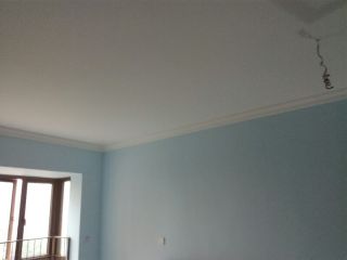 墙、顶面乳胶漆