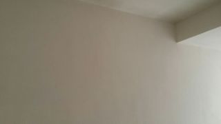墙、顶面腻子批嵌