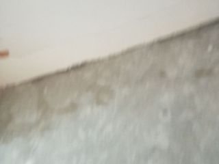 墙、顶面腻子批嵌