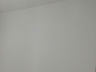 墙、顶面乳胶漆