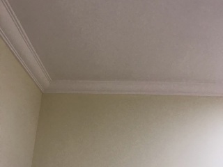 墙、顶面乳胶漆