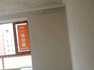 墙、顶面腻子批嵌