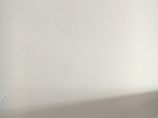 墙、顶面腻子批嵌