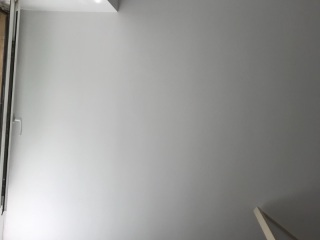 墙、顶面乳胶漆及墙纸铺贴