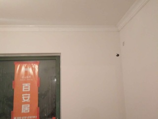 墙、顶面腻子批嵌