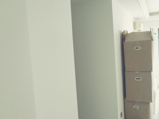 墙、顶面乳胶漆