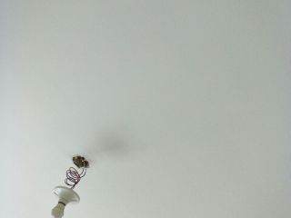油漆工程 验收