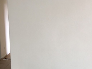 墙、顶面乳胶漆