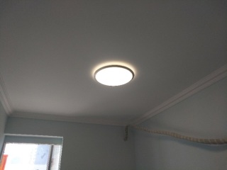 墙、顶面乳胶漆