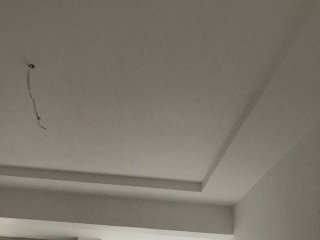 墙、顶面乳胶漆