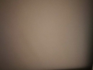 墙、顶面乳胶漆