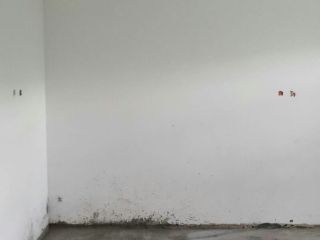 现场木制品造型施作