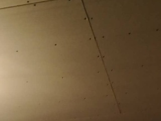 泥木工程 验收