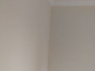 墙、顶面乳胶漆