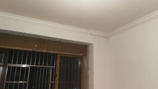 墙、顶面腻子批嵌