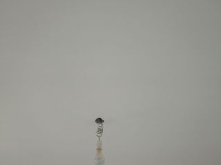 墙、顶面乳胶漆