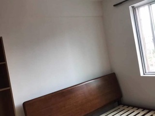 墙、顶面乳胶漆