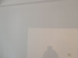 墙、顶面乳胶漆