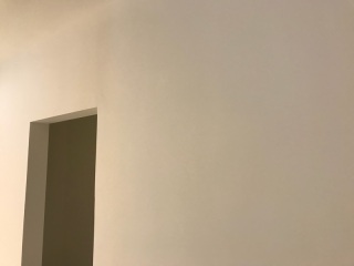 墙、顶面乳胶漆