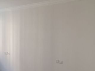 墙、顶面乳胶漆