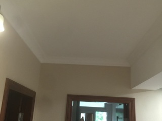 墙、顶面腻子批嵌