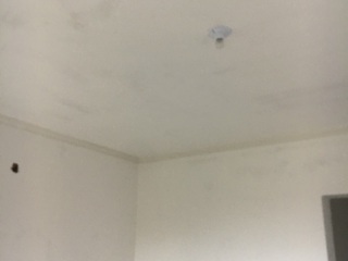 墙、顶面腻子批嵌
