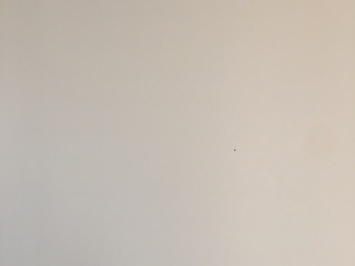 墙、顶面腻子批嵌