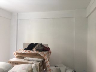 墙、顶面腻子批嵌