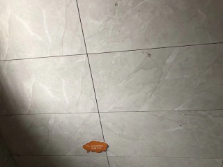 泥木工程 验收