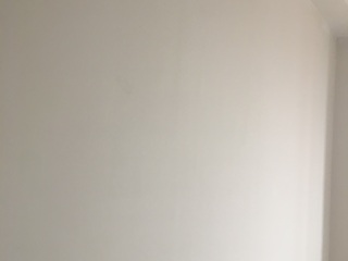 墙、顶面乳胶漆