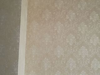 墙、顶面乳胶漆