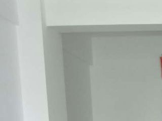 墙、顶面乳胶漆